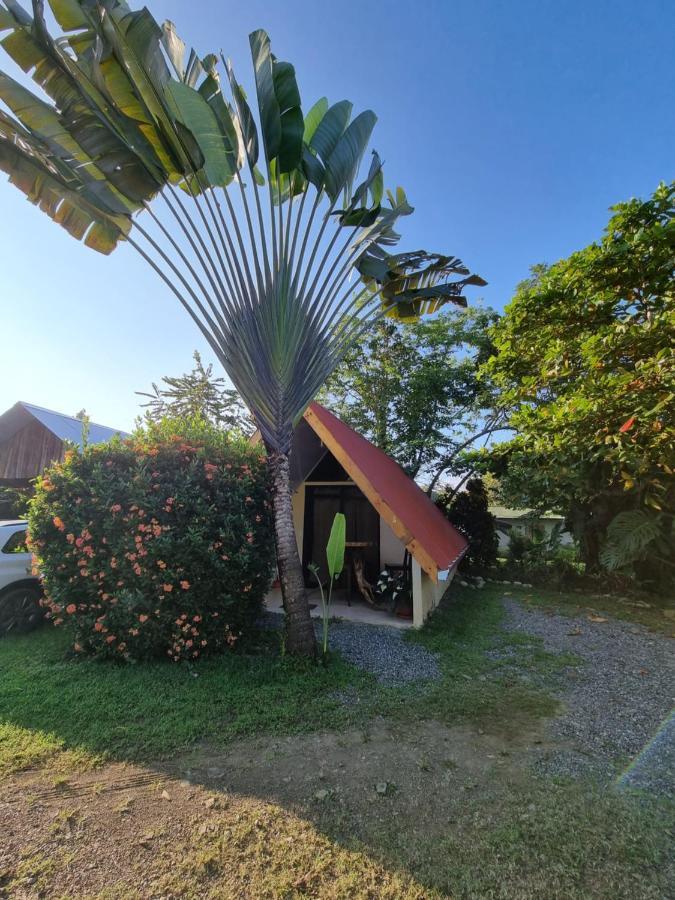 Ballena Oasis Homes & Glamping Uvita Exteriör bild