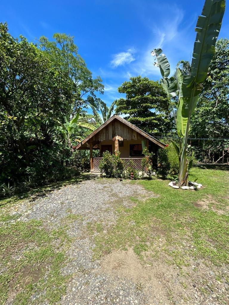 Ballena Oasis Homes & Glamping Uvita Exteriör bild