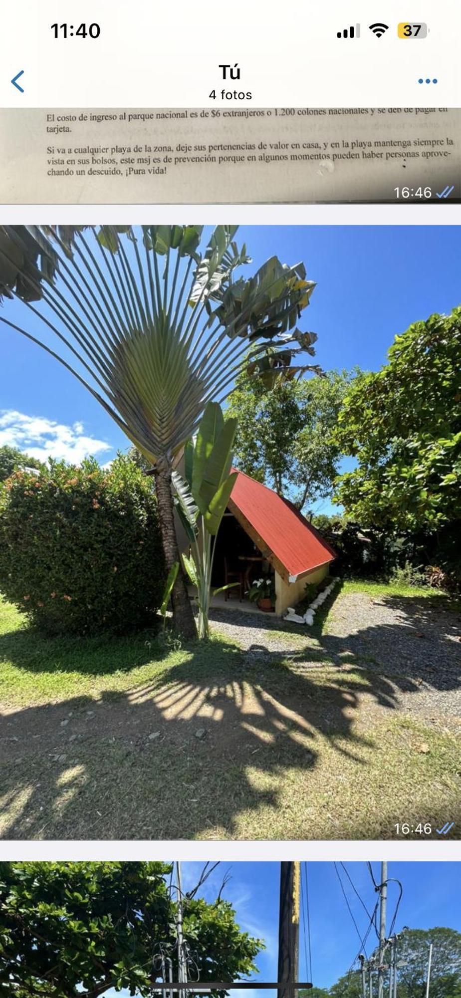 Ballena Oasis Homes & Glamping Uvita Exteriör bild