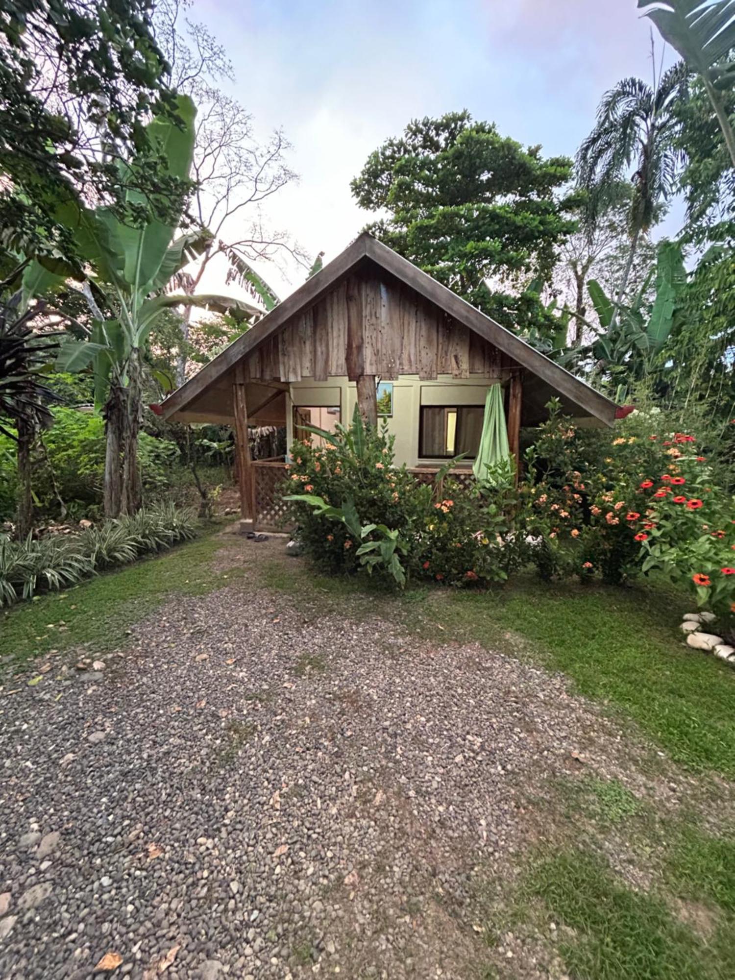 Ballena Oasis Homes & Glamping Uvita Exteriör bild