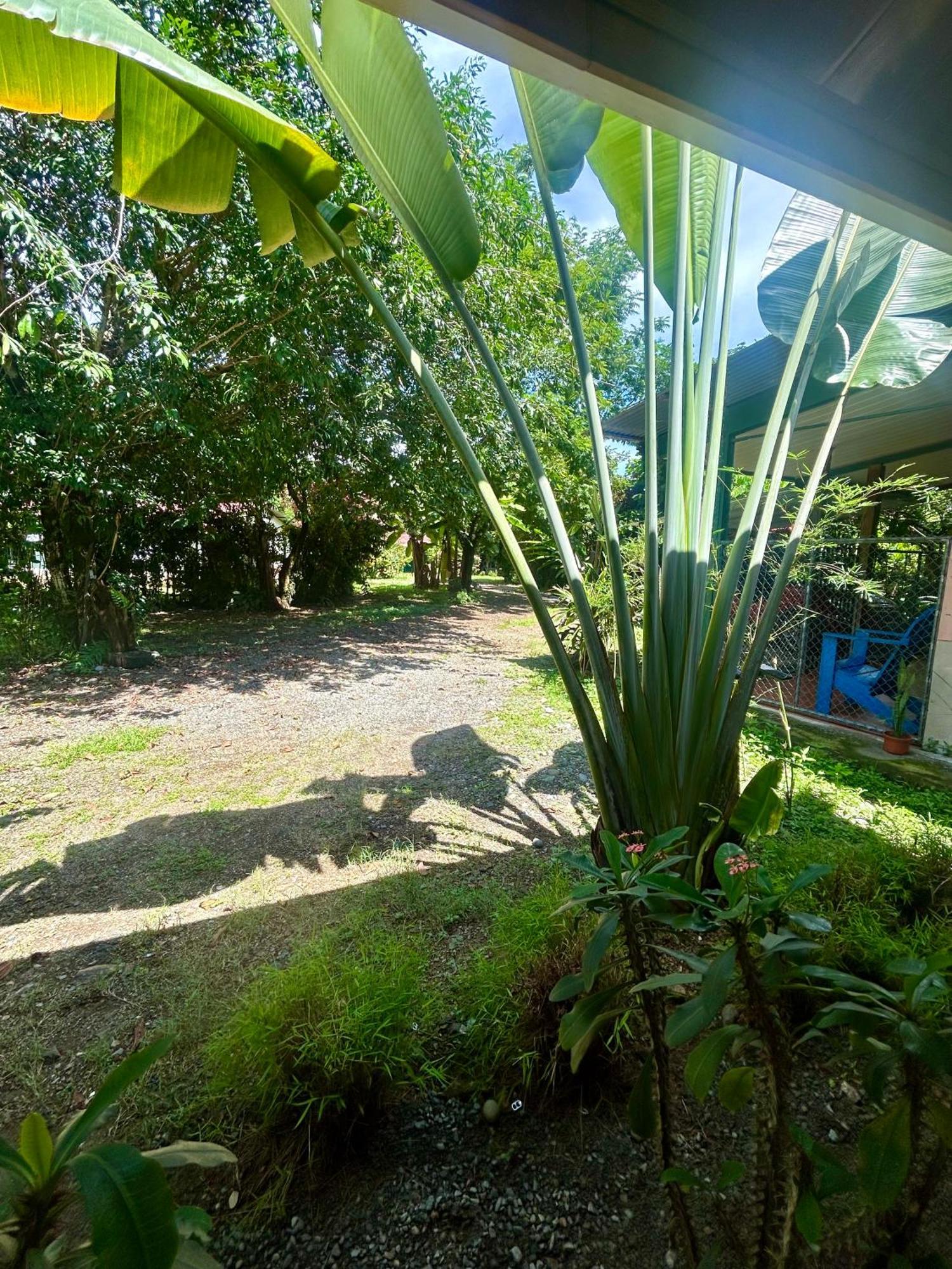 Ballena Oasis Homes & Glamping Uvita Exteriör bild