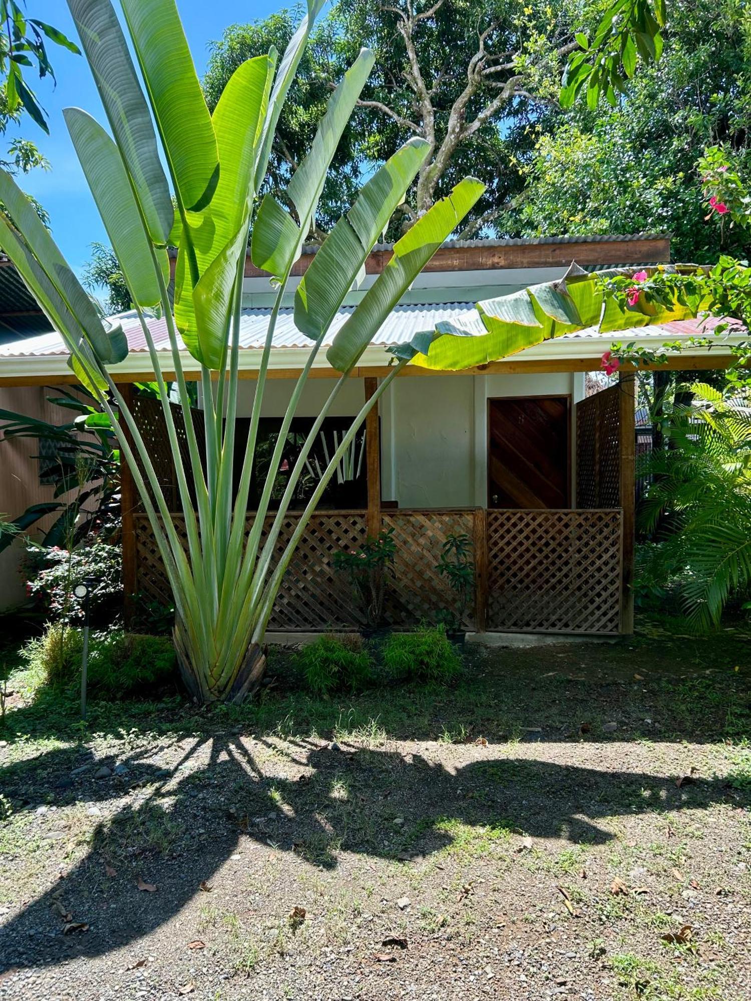 Ballena Oasis Homes & Glamping Uvita Exteriör bild