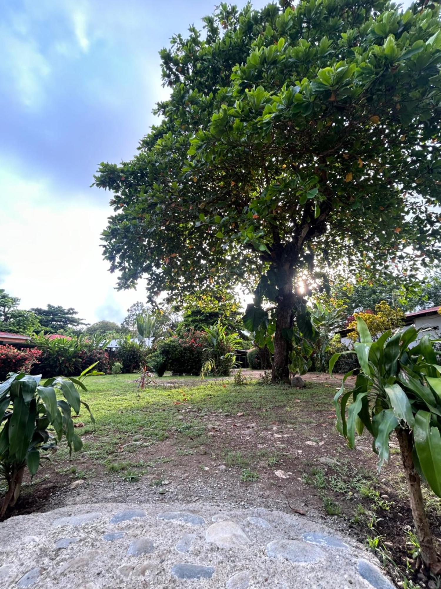 Ballena Oasis Homes & Glamping Uvita Exteriör bild