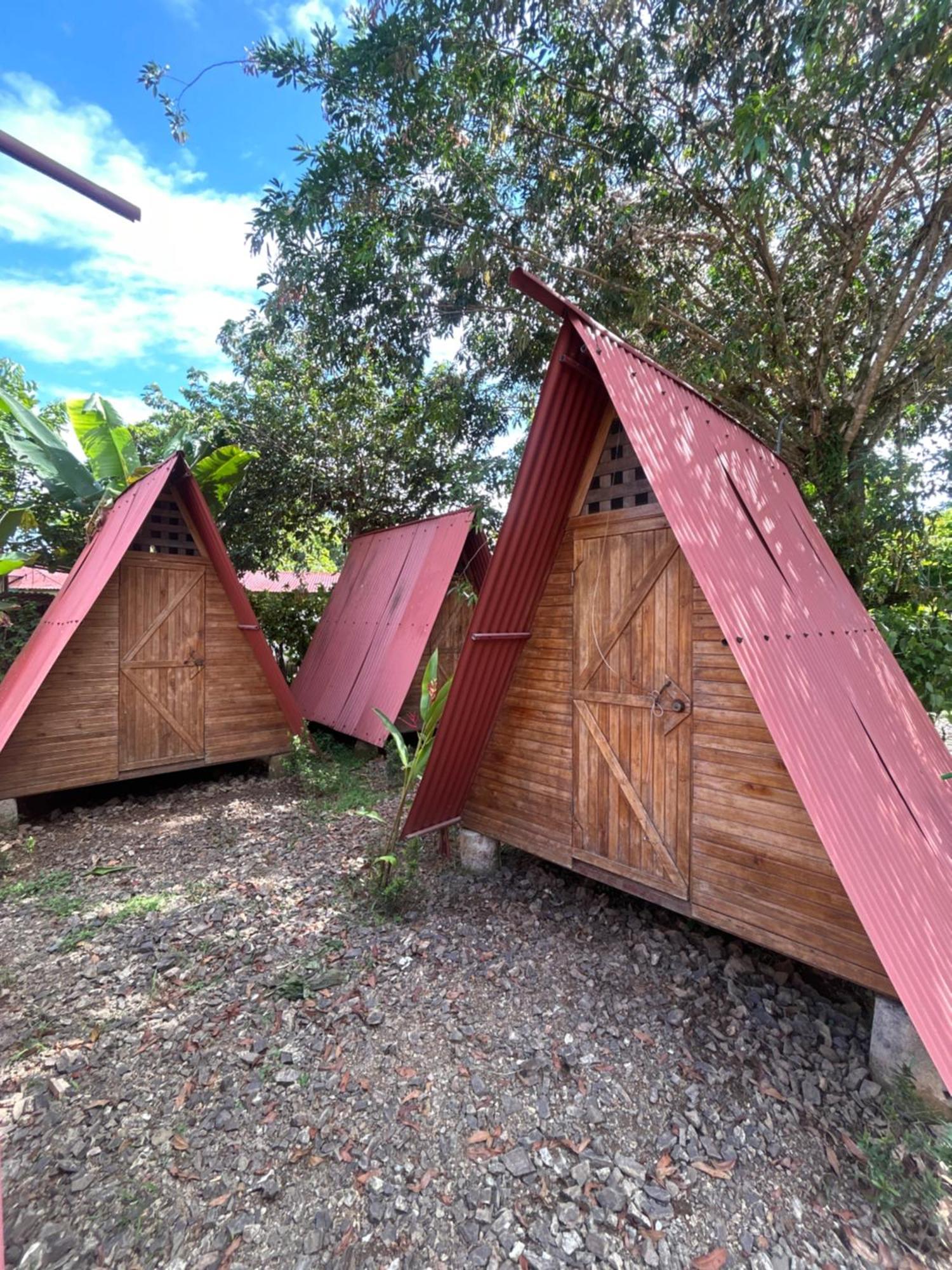 Ballena Oasis Homes & Glamping Uvita Exteriör bild